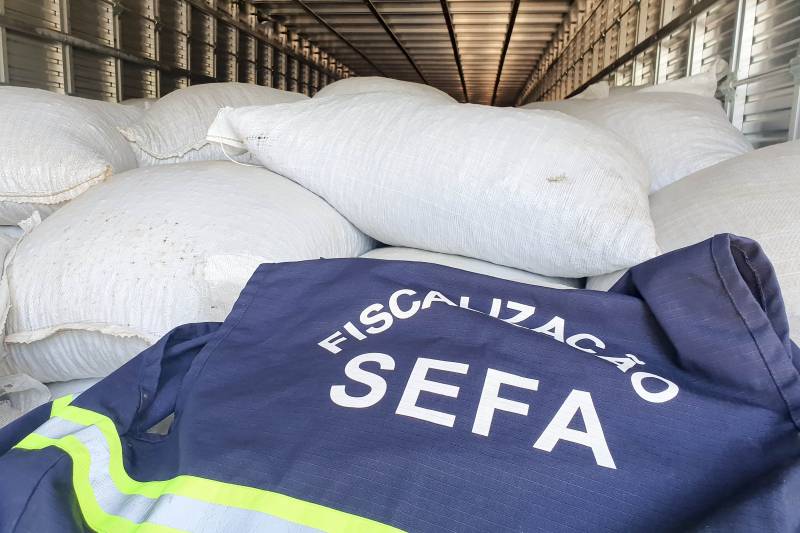 Sefa apreende mais de 63 mil toneladas de soja e arrecada R$ 79 milhões
